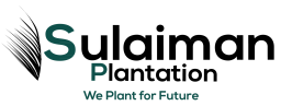 SULAIMAN PLANTATION SDN BHD logo