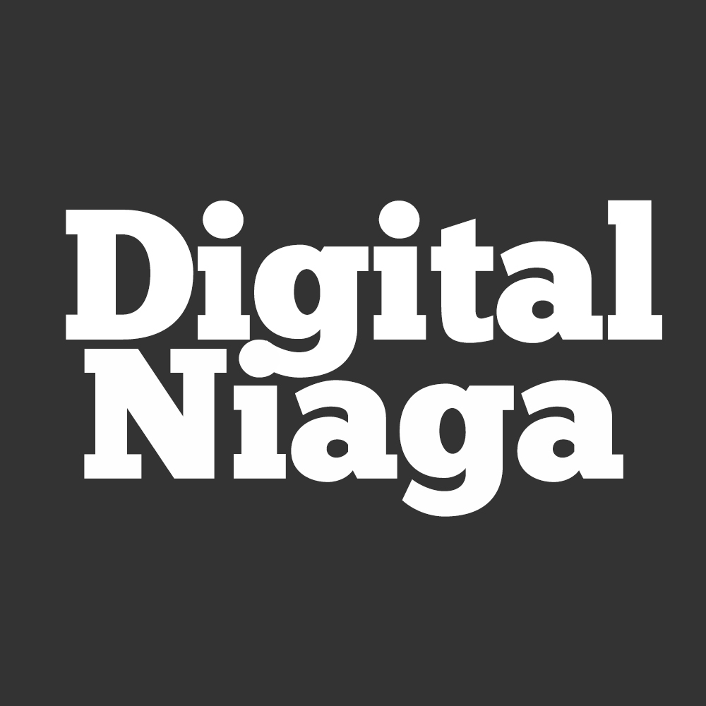Digital Niaga logo