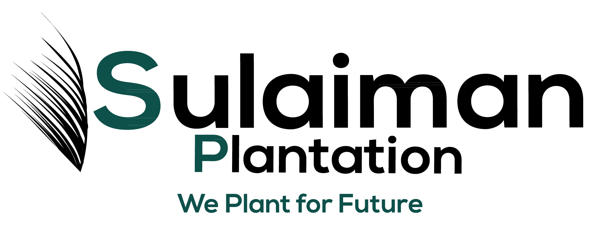 SULAIMAN PLANTATION SDN BHD logo